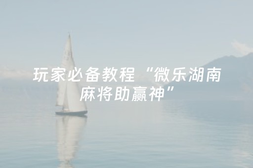 玩家必备教程“微乐湖南麻将助赢神”（详细透视教程）-哔哩哔哩