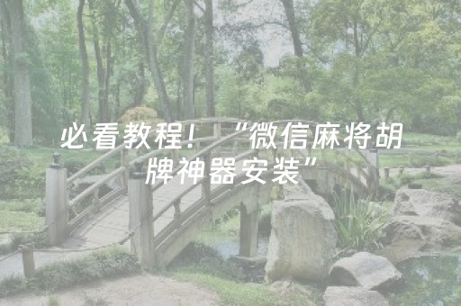 必看教程！“微信麻将胡牌神器安装”（详细辅助教程）-哔哩哔哩