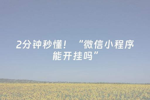 2分钟秒懂！“微信小程序能开挂吗”（详细辅助教程）-哔哩哔哩