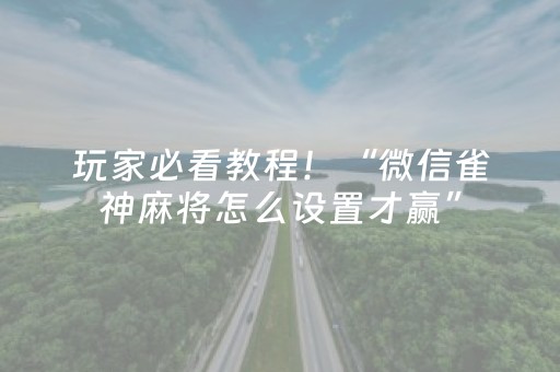 玩家必看教程！“微信雀神麻将怎么设置才赢”（详细开挂教程）-哔哩哔哩