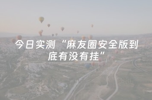 今日实测“麻友圈安全版到底有没有挂”（详细辅助教程）-哔哩哔哩