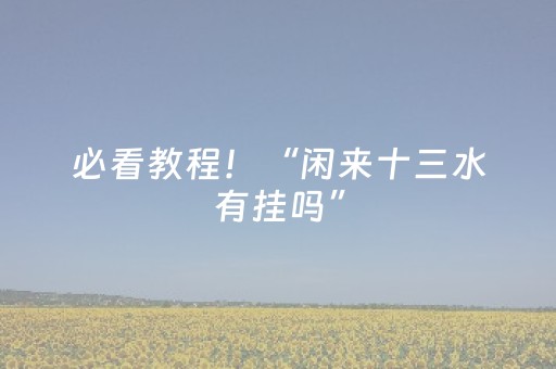 必看教程！“闲来十三水有挂吗”（详细辅助教程）-哔哩哔哩