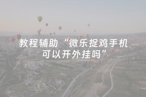 教程辅助“微乐捉鸡手机可以开外挂吗”（详细透视教程）-哔哩哔哩