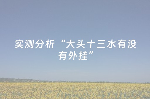 实测分析“大头十三水有没有外挂”（详细辅助教程）-哔哩哔哩