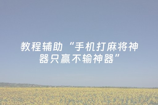 教程辅助“手机打麻将神器只赢不输神器”（详细透视教程）-哔哩哔哩