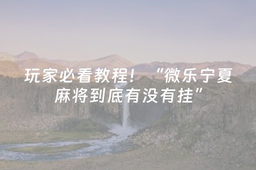 玩家必看教程！“微乐宁夏麻将到底有没有挂”（详细透视教程）-哔哩哔哩
