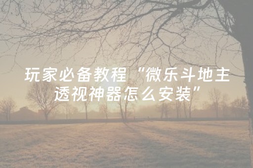 玩家必备教程“微乐斗地主透视神器怎么安装”（详细透视教程）-哔哩哔哩