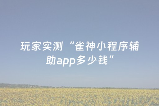 玩家实测“雀神小程序辅助app多少钱”（详细透视教程）-哔哩哔哩