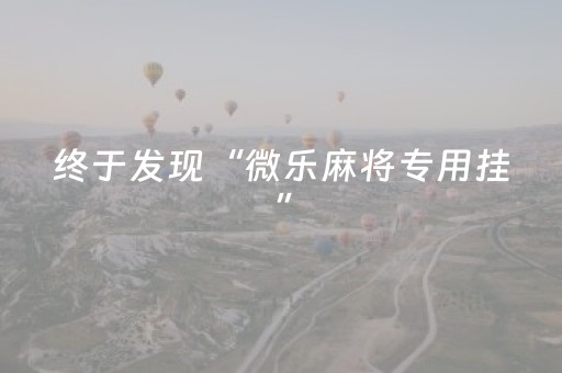 终于发现“微乐麻将专用挂”（详细透视教程）-哔哩哔哩