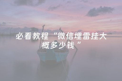 必看教程“微信埋雷挂大概多少钱 ”（详细透视教程）-哔哩哔哩