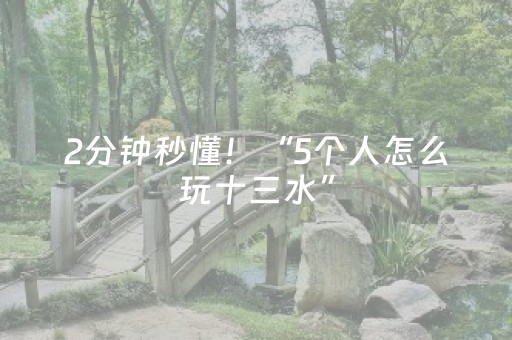 2分钟秒懂！“5个人怎么玩十三水”（详细辅助教程）-哔哩哔哩