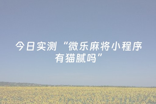今日实测“微乐麻将小程序有猫腻吗”（详细辅助教程）-哔哩哔哩