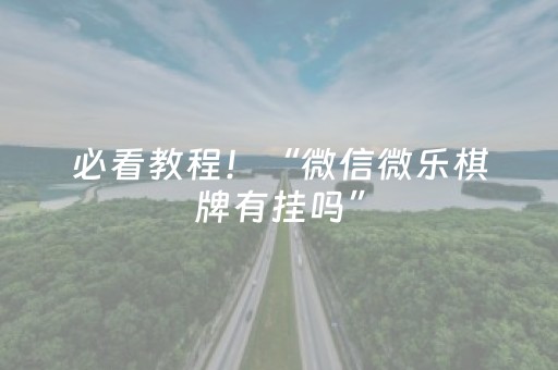 必看教程！“微信微乐棋牌有挂吗”（详细开挂教程）-哔哩哔哩