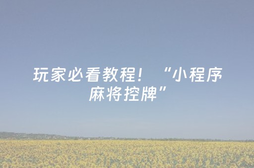 玩家必看教程！“小程序麻将控牌”（详细辅助教程）-哔哩哔哩