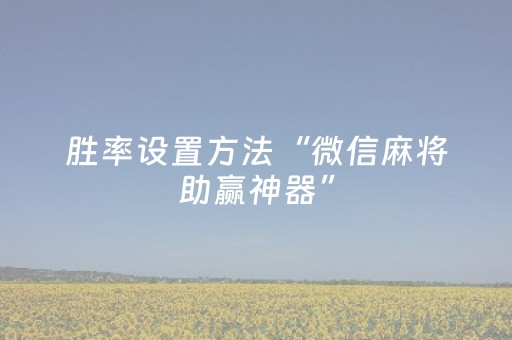 胜率设置方法“微信麻将助赢神器”（详细透视教程）-哔哩哔哩