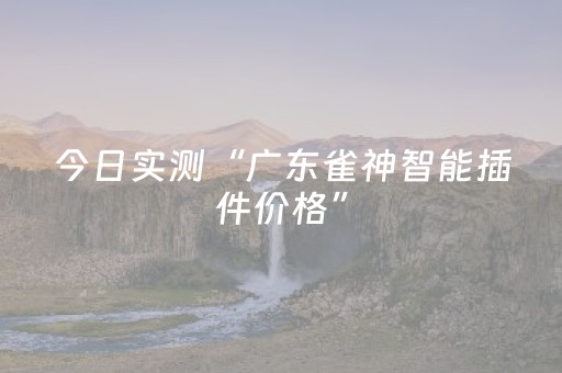今日实测“广东雀神智能插件价格”（详细辅助教程）-哔哩哔哩