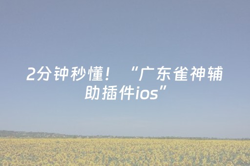 神器真的超好用!雀神广东麻将助赢神器(必赢神器辅助器)