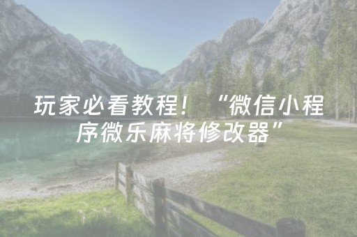 神器惊艳四座!欢喜广西麻将十三张其实是有挂的(真的有挂)