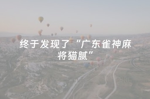 终于发现了“广东雀神麻将猫腻”（详细透视教程）-哔哩哔哩