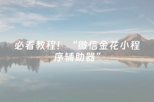 必看教程！“微信金花小程序辅助器”（详细辅助教程）-哔哩哔哩