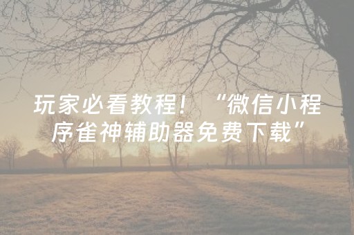 玩家必看教程！“微信小程序雀神辅助器免费下载”（详细辅助教程）-哔哩哔哩