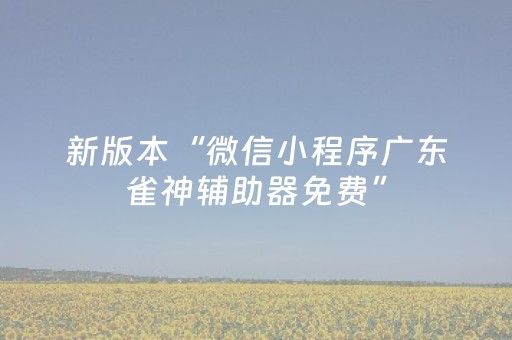 新版本“微信小程序广东雀神辅助器免费”（详细透视教程）-哔哩哔哩