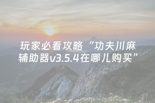 玩家必看攻略“功夫川麻辅助器v3.5.4在哪儿购买”（详细透视教程）-哔哩哔哩