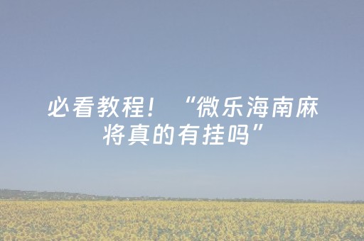 必看教程！“微乐海南麻将真的有挂吗”（详细开挂教程）-哔哩哔哩