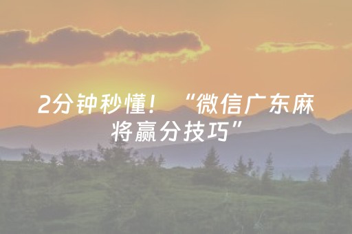 2分钟秒懂！“微信广东麻将赢分技巧”（详细透视教程）-哔哩哔哩