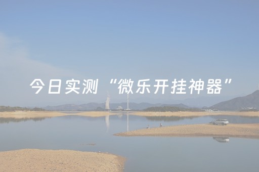 今日实测“微乐开挂神器”（详细透视教程）-哔哩哔哩