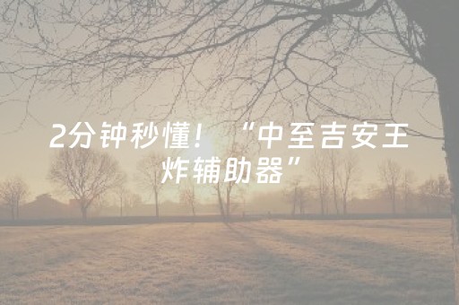 2分钟秒懂！“中至吉安王炸辅助器”（详细辅助教程）-哔哩哔哩