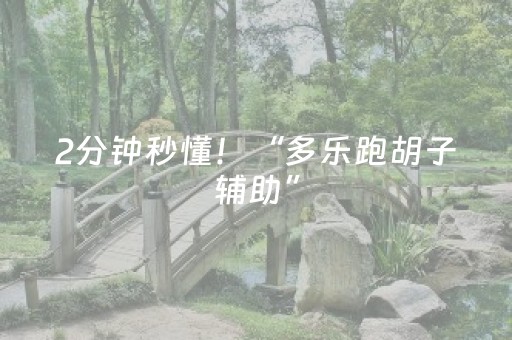 2分钟秒懂！“多乐跑胡子辅助”（详细透视教程）-哔哩哔哩