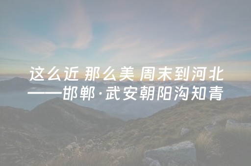 必用软件神器!山水麻将助赢神器(其实真的确实有挂)