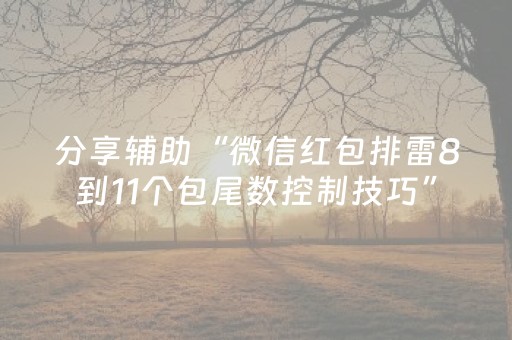 分享辅助“微信红包排雷8到11个包尾数控制技巧”（详细透视教程）-哔哩哔哩