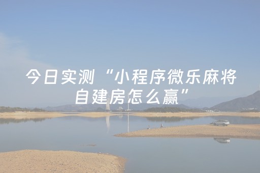超炫软件神器!欢乐陕西麻将神器通用版(确实有挂吗)