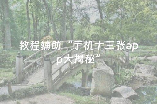 教程辅助“手机十三张app大揭秘”（详细透视教程）-哔哩哔哩