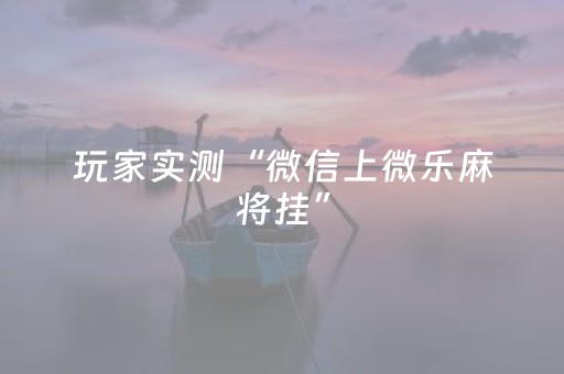 玩家实测“微信上微乐麻将挂”（详细透视教程）-哔哩哔哩