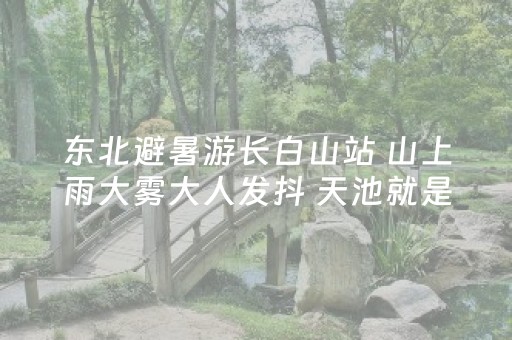 软件神器超亮眼!手机麻将胡牌神器软件(怎么调胜率)
