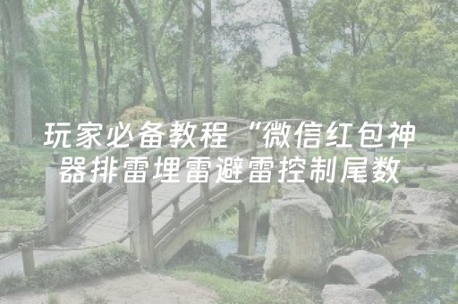 玩家必备教程“微信红包神器排雷埋雷避雷控制尾数”（详细透视教程）-哔哩哔哩