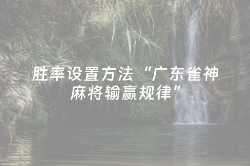 胜率设置方法“广东雀神麻将输赢规律”（详细透视教程）-哔哩哔哩