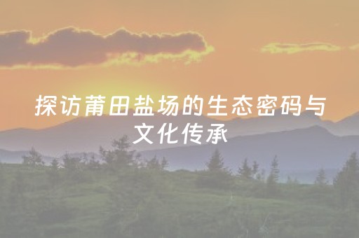 探访莆田盐场的生态密码与文化传承