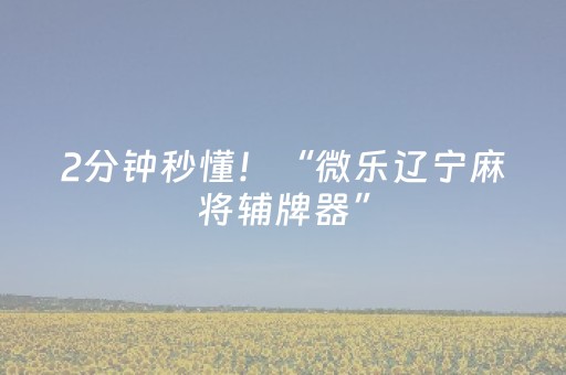 2分钟秒懂！“微乐辽宁麻将辅牌器”（详细辅助教程）-哔哩哔哩