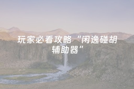 玩家必看攻略“闲逸碰胡辅助器”（详细透视教程）-哔哩哔哩