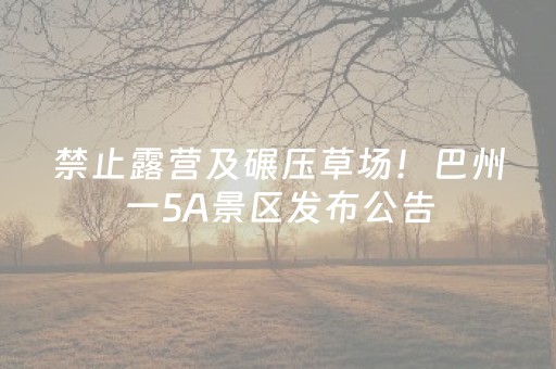 神器真心超棒!微信小程序打麻将辅助开挂(为什么老是输呢)