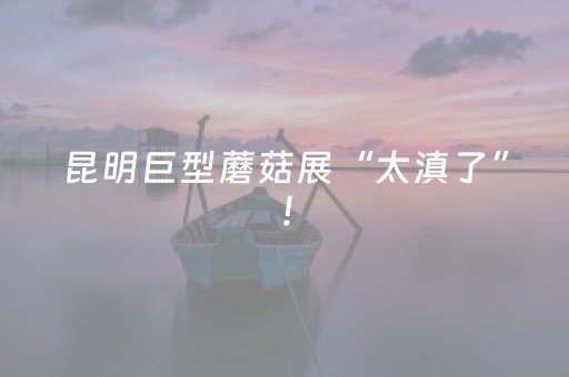 软件神器超酷!微信小程序财神十三张怎样拿好牌(怎么让系统给你发好牌)