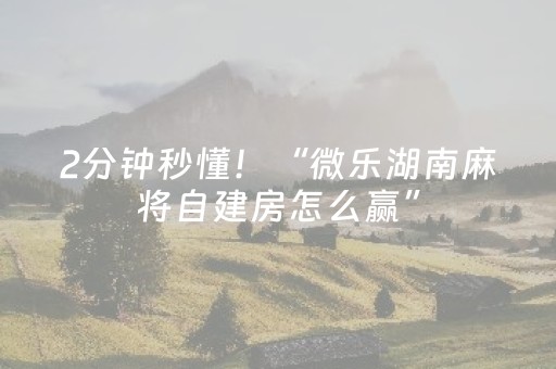 2分钟秒懂！“微乐湖南麻将自建房怎么赢”（详细开挂教程）-哔哩哔哩