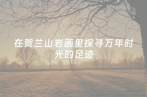 超神软件工具!财神十三张开挂辅助器应用(透明器教程)