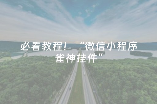 必看教程！“微信小程序雀神挂件”（详细透视教程）-哔哩哔哩