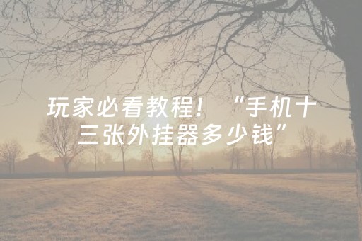 玩家必看教程！“手机十三张外挂器多少钱”（详细开挂教程）-哔哩哔哩