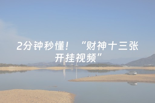2分钟秒懂！“财神十三张开挂视频”（详细开挂教程）-哔哩哔哩